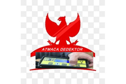 SPD X2 3D  GÖRÜNTÜLEMELİ PULSE DEDEKTOR