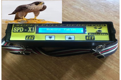 SUPER X1 PULSE DEDEKTOR