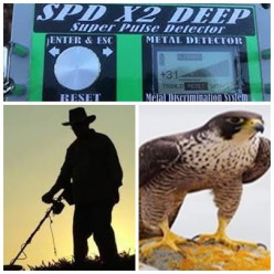 SPD X2 DEEP PULSE DEDEKTOR