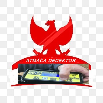 3 D Görüntülemeli Pulse